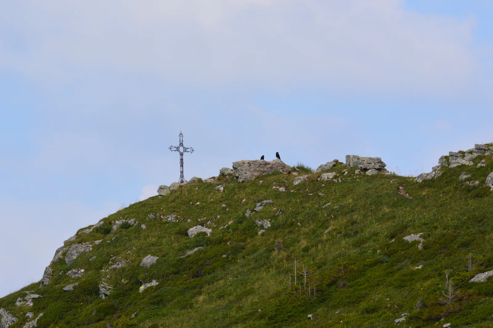 Paysage 3